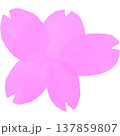 花びらがくっついている桜の絵 137859807
