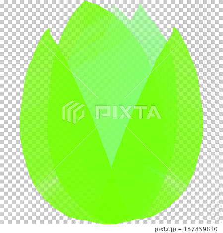 ふきのとうなどの緑色の春の植物の絵 ふきのとうなどの緑色の春の植物の絵 137859810