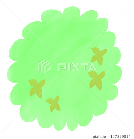 春の黄色い花を咲かせた低木の絵 137859814