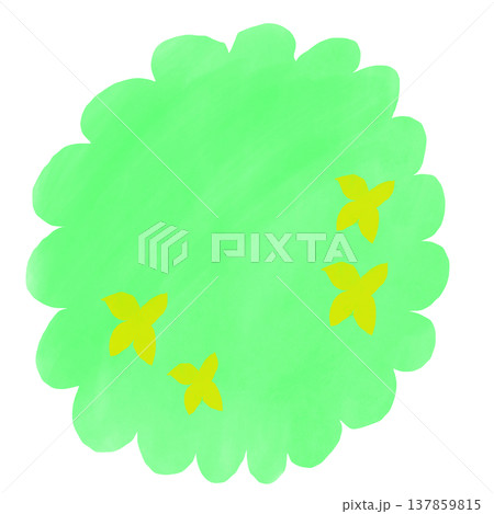 初夏の黄色い花を咲かせた低木の絵 初夏の黄色い花を咲かせた低木の絵 137859815