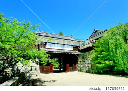 新緑の上田城 137859831