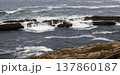 Barrier Rocks with Ocean Waves Crashing and Rolling OVer Them in Galicia Spain 137860187