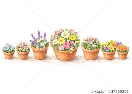 植木鉢シリーズ:サイズ違いの花の鉢が並ぶ 植木鉢シリーズ:サイズ違いの花の鉢が並ぶ 137860201