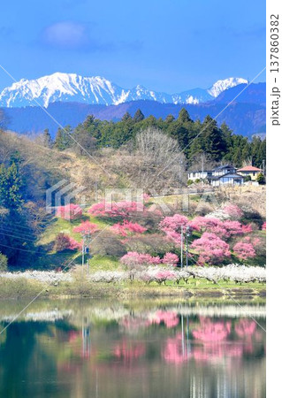 ろうかく梅園 ろうかく梅園 137860382