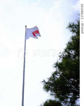高知城の日本国旗 137860585