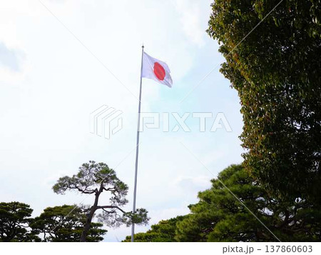 高知城の日本国旗 高知城の日本国旗 137860603