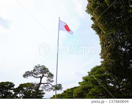 高知城の日本国旗 高知城の日本国旗 137860604
