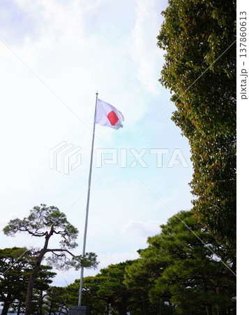 高知城の日本国旗 137860613