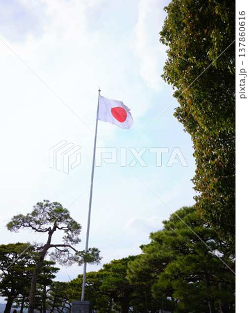 高知城の日本国旗 137860616