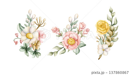 Cute Colourful Meadow Flower Bouquet Set. Watercolor summer spring bloom floral illustration hand painted isolated on white background for nursery baby kids design fresh prints cards posters textile Cute Colourful Meadow Flower Bouquet Set. Watercolor summer spring bloom floral illustration hand painted isolated on white background for nursery baby kids design fresh prints cards posters textile 137860867