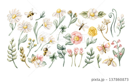 Cute Insect Meadow Flower Wild Plant Set. Watercolor illustration hand painted isolated on white background for nursery baby kids design spring summer fancy cards posters fabrics textile fresh prints 137860873