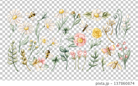 Cute Insect Meadow Flower Wild Plant Set. Watercolor illustration hand painted isolated on white background for nursery baby kids design spring summer fancy cards posters fabrics textile fresh prints Cute Insect Meadow Flower Wild Plant Set. Watercolor illustration hand painted isolated on white background for nursery baby kids design spring summer fancy cards posters fabrics textile fresh prints 137860874