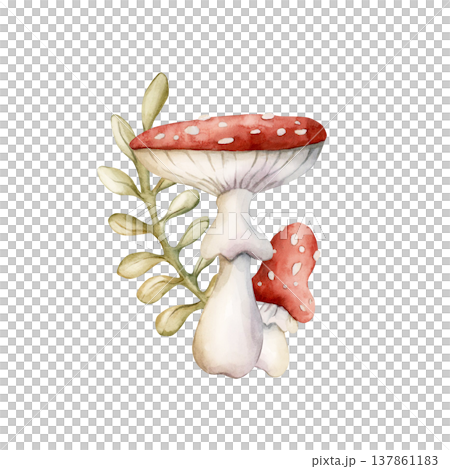 Cute Fly Agaric Mushrooms with leaves. Watercolor summer floral forest illustration hand painted isolated on white background nursery baby kids design fresh whimsical prints cards mystery textile 137861183