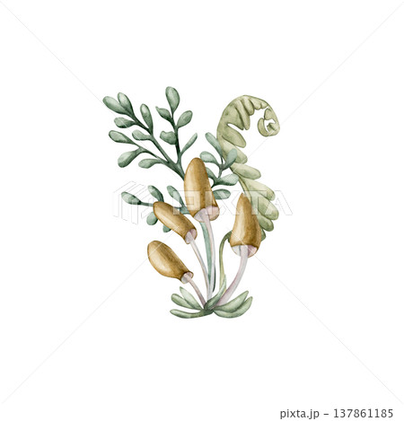 Cute small mushrooms fern leaves. Toadstool Rosehip Watercolor summer floral forest illustration hand painted isolated on white background for nursery baby kids design prints cards mystery textile 137861185