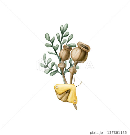 Cute poppy boxes Butterfly Moth Hawkmoth Leaves. Toadstool Watercolor summer floral forest illustration hand painted isolated on white background for nursery baby kids design prints cards textile 137861186