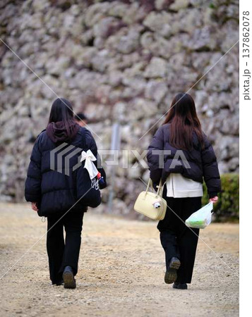 花見 青春 学生 花見 青春 学生 137862078