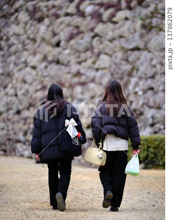 花見 青春 学生 花見 青春 学生 137862079