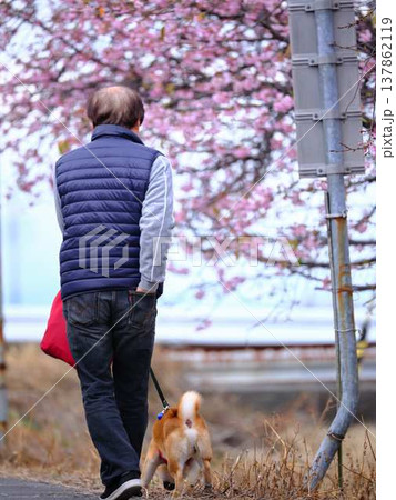 年の差夫婦の老後 年の差夫婦の老後 137862119