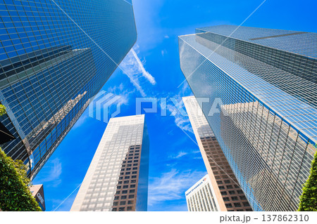 ロサンゼルス　ダウンタウンの高層ビル 137862310