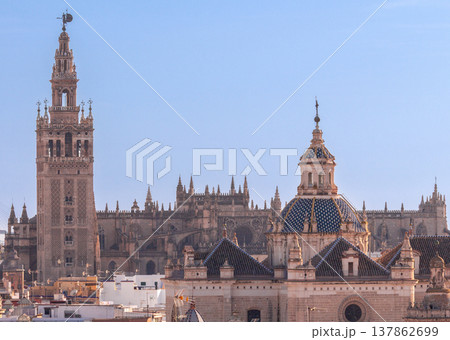 Seville skyline with Giralda tower and cathedral under blue sky Spain Seville skyline with Giralda tower and cathedral under blue sky Spain 137862699