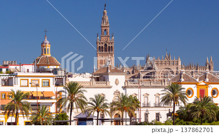 Seville skyline with Giralda tower and cathedral under blue sky Spain Seville skyline with Giralda tower and cathedral under blue sky Spain 137862701