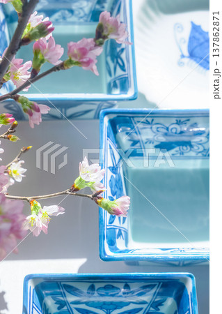 和風イメージ画像［染付の器と桜］ 137862871