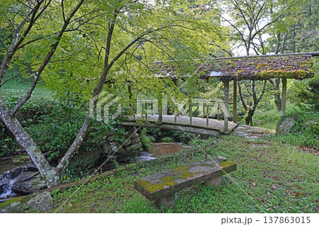 新緑の愛媛県内子町石畳地区に佇む苔むした屋根付き橋と風情ある里山の初夏の風景 137863015