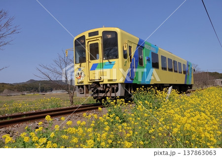 平成筑豊鉄道のディーゼルカーと菜の花 平成筑豊鉄道のディーゼルカーと菜の花 137863063