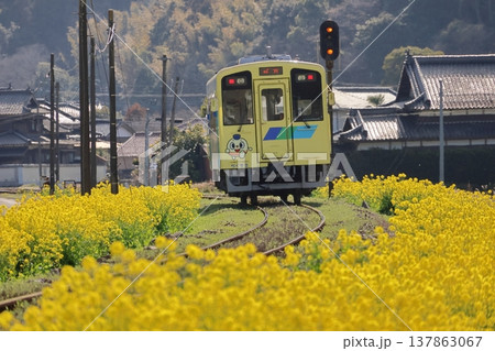 平成筑豊鉄道のディーゼルカーと菜の花 平成筑豊鉄道のディーゼルカーと菜の花 137863067