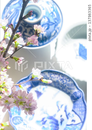 和風のイメージ画像［染付の器と桜］ 137863365