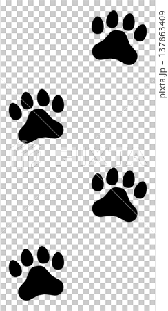 犬や猫などの動物の複数の足跡 犬や猫などの動物の複数の足跡 137863409