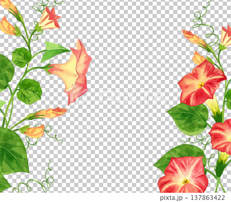 A frame featuring a pink morning glory flower, leaves, and buds, all hand-painted in watercolor. A border of blooming morning glory makes for a wedding invitation or romantic greeting card. 137863422