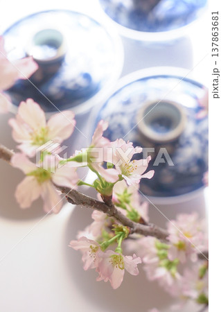 和風のイメージ画像［染付の器と桜］ 137863681