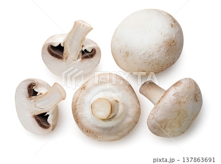 Set of champignon mushrooms and halves close-up on a white background. Top view 137863691