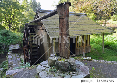 愛媛県内子町石畳清流園 苔むす杉皮葺き屋根と伝統的木製水車彩る山里原風景 137863785