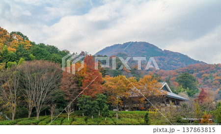 葛城市新在家 北良池から紅葉の二上山 雄岳 2025年12月8日 葛城市新在家 北良池から紅葉の二上山 雄岳 2025年12月8日 137863815