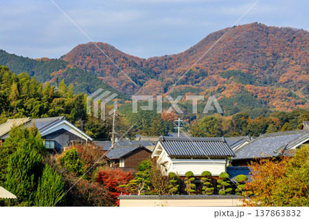 紅葉の二上山 雄岳と雌岳と當麻寺東塔相輪 2025年12月8日 紅葉の二上山 雄岳と雌岳と當麻寺東塔相輪 2025年12月8日 137863832