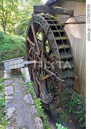 愛媛県内子町石畳清流園に息づく伝統技術 苔むす木製水車と滴る水が描く山里の原風景 愛媛県内子町石畳清流園に息づく伝統技術 苔むす木製水車と滴る水が描く山里の原風景 137863956