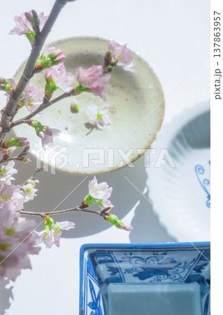 和風のイメージ画像［有田焼と桜］ 137863957