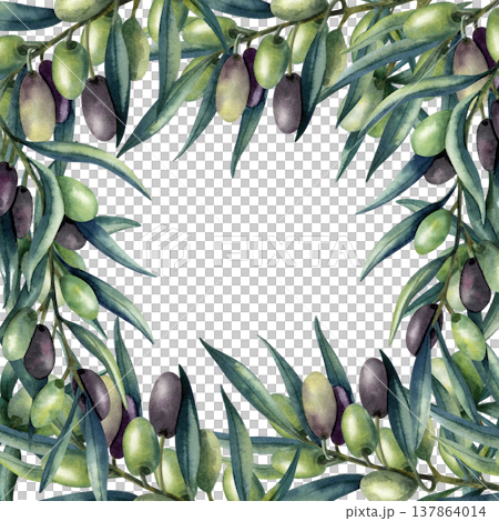 Olive branch square frame, template with copy space. Green and dark olive fruits, lush foliage. Isolated illustration on transparent background. Hand painted banner for packaging, branding, logo Olive branch square frame, template with copy space. Green and dark olive fruits, lush foliage. Isolated illustration on transparent background. Hand painted banner for packaging, branding, logo 137864014
