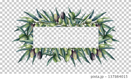 Olive branch frame with rectangular template copy space, card. Green and dark olive fruits, greenery. Isolated Hand painted illustration, realistic food art banner for packaging, branding, logo Olive branch frame with rectangular template copy space, card. Green and dark olive fruits, greenery. Isolated Hand painted illustration, realistic food art banner for packaging, branding, logo 137864015