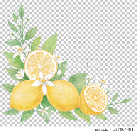 Watercolor lemon decoration Watercolor lemon decoration 137864491