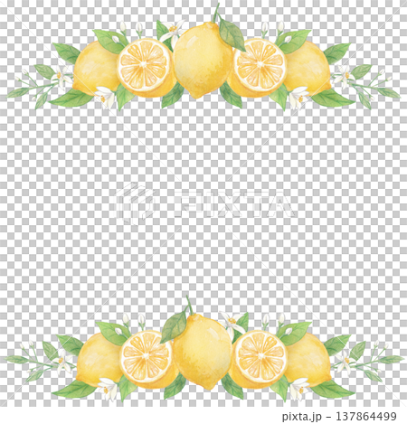 Watercolor Lemon Frame 137864499