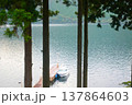杉木立の合間から望む芦ノ湖の桟橋と白いボート 137864603