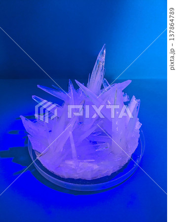 A close up view of sharp, translucent crystals growing in a petri dish under blue light, showcasing a scientific experiment A close up view of sharp, translucent crystals growing in a petri dish under blue light, showcasing a scientific experiment 137864789