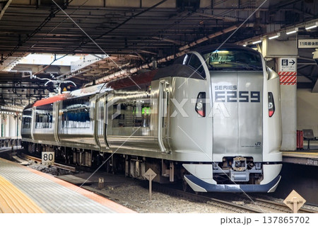 品川駅に停車中のE259系成田エクスプレス 137865702