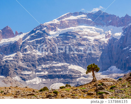 Snow mountain landscape with alpine scenery Snow mountain landscape with alpine scenery 137866135