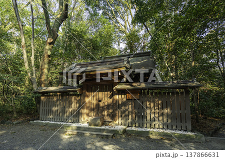 熱田神宮　孫若御子神社　愛知県名古屋市 137866631