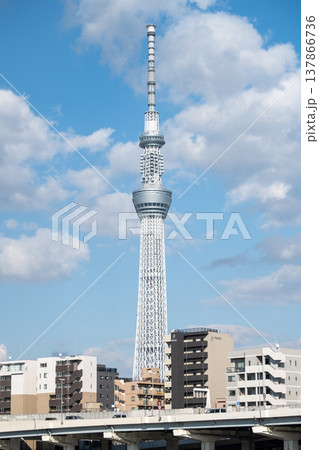 東京スカイツリー全景と周辺市街地 縦構図 137866736