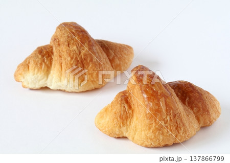 コルネット コルネット 137866799